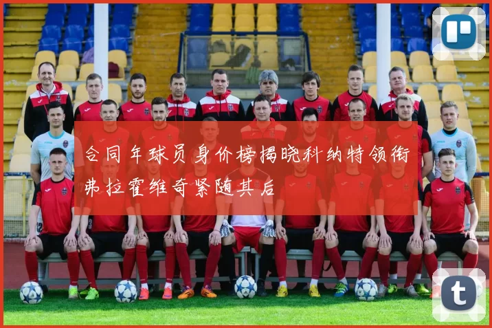 合同年球员身价榜揭晓科纳特领衔弗拉霍维奇紧随其后